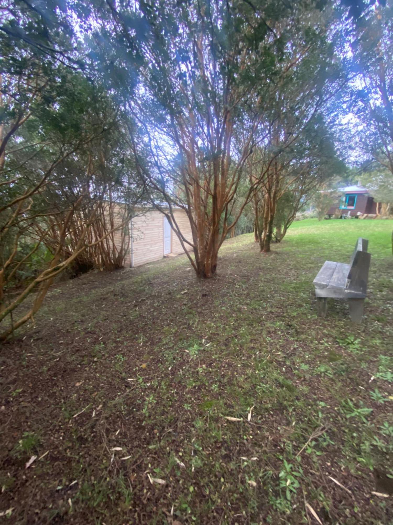 Bordemundo B&B Y Cabanas Puerto Varas Buitenkant foto